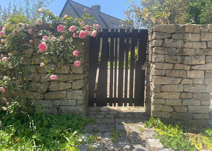 Ty Fine Rose